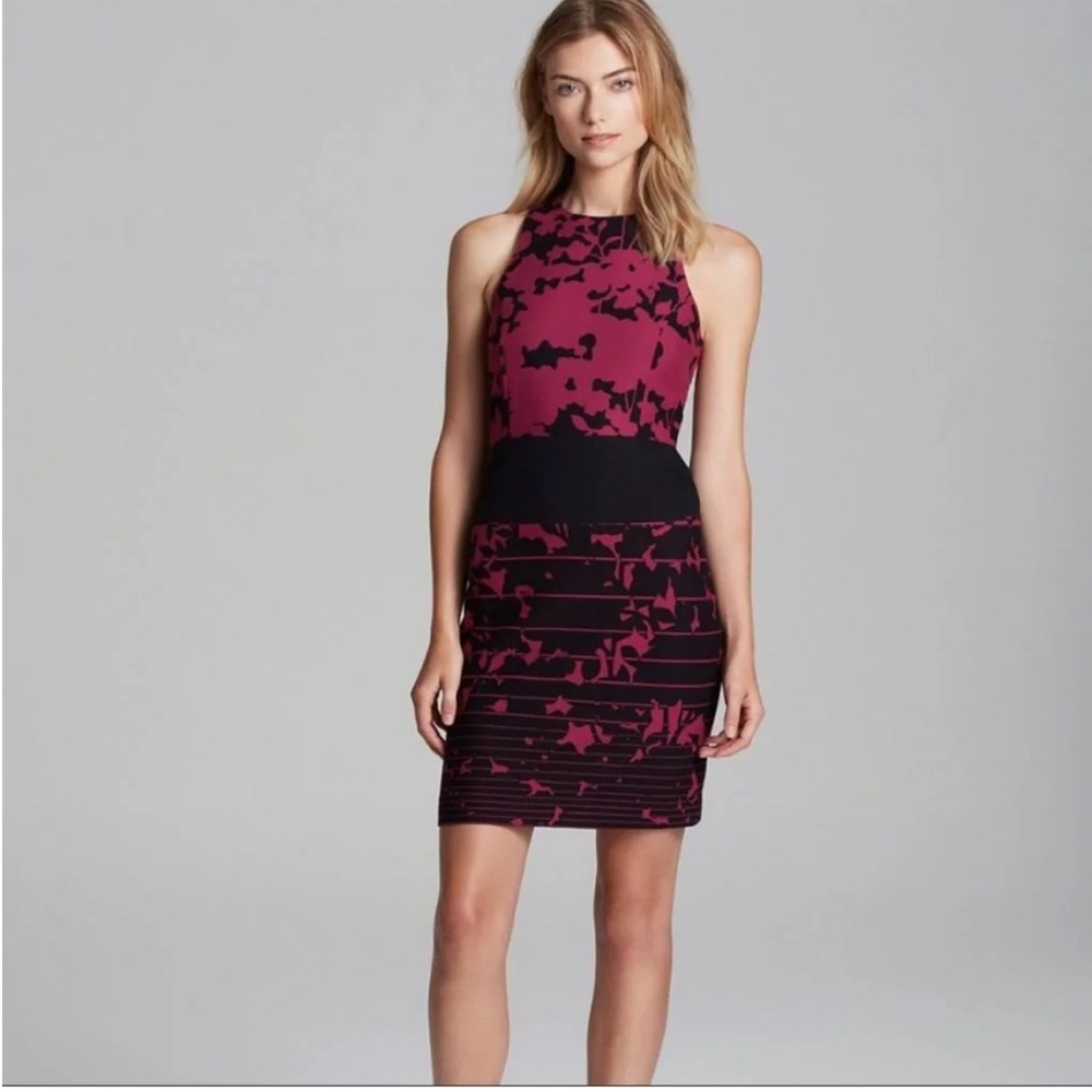 NWOT Anthropologie 4.Collective Sheath Dress (4C) Pink and Black | Size 4